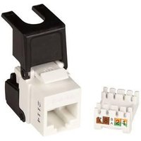 Lanview LVN128143 keystone module