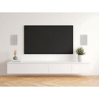 Vivolink VLSPIW60W loudspeaker