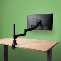 R-Go Tools Monitor arm R-Go Caparo Single. fully adjustable with gas s