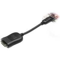 HP 484156-001 video cable adapter DVI-D DisplayPort Black