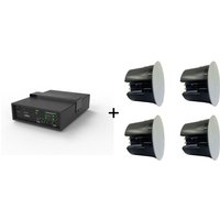 Audiopack Subwoofer 6.5 + 4 x premium 40W ceiling speakers (L