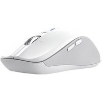 Trust 25674 mouse Universal Ambidextrous Bluetooth 3200 DPI