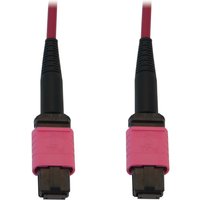 N845B--12-MG 100G Multimode 50/125 OM4 Fiber Optic Cable
