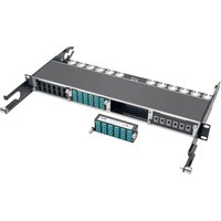 Tripp Lite N484-12LC 10GbE Pass-Through Cassette - (x12) LC Duplex