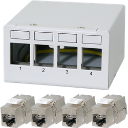 Logilink Patch Panel 4 Port With 4 Cat.6A Keystone Modules