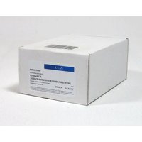 Data Direct Lexmark CX310/410/510 Toner Cyan Remanufactured 802SCRM 2.