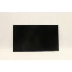 Lenovo 15.6-Inch Fhd Ips Lcd Pnel