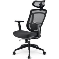 Sharkoon OfficePal C20 Padded seat Meshed backrest