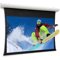 Da-Lite Tensioned Elpro Concept RF projection screen 3.78 m (149"
