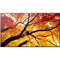 Sharp MultiSync M862 Digital signage flat panel 2.18 m (86") LCD