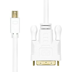 Proxtend Mini Displayport To DVI-D 24+1 2M