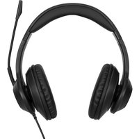Targus AEH102GL headphones/headset Wired Head-band Calls/Music USB Typ