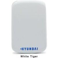 Hyundai HS2 220GB Ext SSD USB-3 WHITE RETAIL