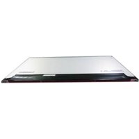 DELL 19.5-inch Full HD LCD disply