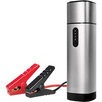 LogiLink PA0266 power bank Lithium Polymer (LiPo) 10000 mAh Metallic