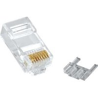 Modulr plug RJ45. K6