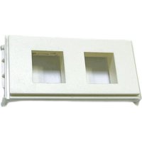VivoLink Oule Pnel for 2 x Keysone