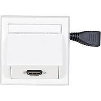WI221184 socket outlet HDMI