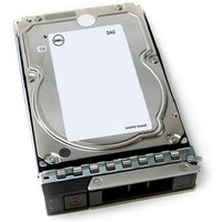 DELL 161-BCJX internal hard drive 12 TB 7200 RPM 3.5" SAS