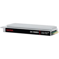 SanDisk DC SN861 7.68 TB E1.S PCI Express 5.0 NVMe