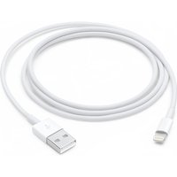 Apple Lightning to USB Cable (1В m)