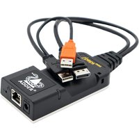 Standalone KVM over IP unit remote VNC access