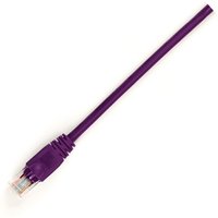 Black Box C6BU-Z-SB-PU-02M networking cable Purple 2 m Cat6 U/UTP (UTP