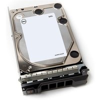 DELL 400-AUWK internal hard drive 12 TB 7200 RPM 3.5" Serial ATA