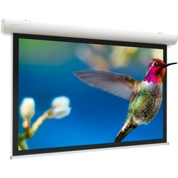 Da-Lite Elpro Concept Projection Screen 4.14 M (163") 4:3