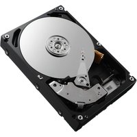 DELL HD 300G 102N IS12 2.5 H-CF EC