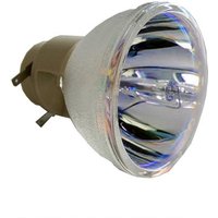 Acer MC.JQ011.003 projector lamp 250 W