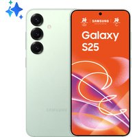 Samsung Galaxy S25 15.8 cm (6.2") Dual SIM Android 15 5G USB Type