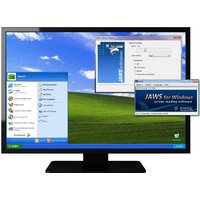 Freedom Scientific Jaws Professional -Single User - Includes 24 month