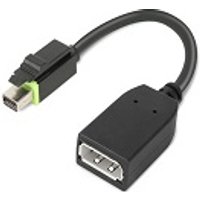 Lenovo 4X90Q93975 video cable adapter Mini DisplayPort DisplayPort Bla