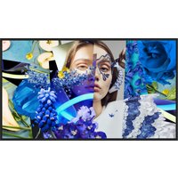 Hikvision DS-D6065UN-DP Signage Display Digital signage flat panel 165