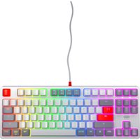 CHERRY K4V2 RGB Tenkeyless Retro edition, Mechanical gaming keyboard, US