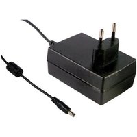 GSM25E24 P1J power adapter inverter Indoor 25 W