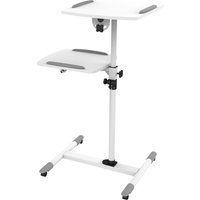 VLPS100 project mount Floor