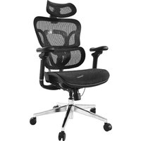 equip Ergonomic Premium Office Chair with Headrest and Armrests.