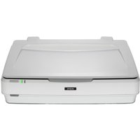 Epson Expression 13000XL Flatbed scanner 2400 x 4800 DPI A3 White