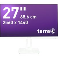 TERRA 3030222 computer monitor 60.5 cm (23.8") 1920 x 1080 pixels