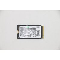 Lenovo 256G M.2 2242 PCIe 3.0 NVMe