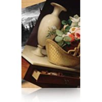 Epson Premium Luster Photo Paper. 60" x 30.5 m. 260g/m2