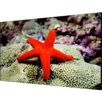 DS D2055LR G video wall display LCD Indoor