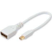 0.2M Mini Display Port to Display Port Adaptor M-F