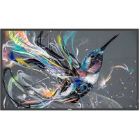Philips Signage Solutions 75BDL3511Q/00 Signage Display Digital signag