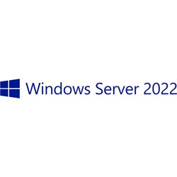 Microsoft Windows Server 2022 Client Access License (Cal)