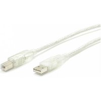 StarTech.com 6 ft Clear A to B USB 2.0 Cable - M/M
