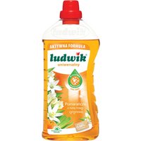 Ludwik Detergente Universale – Arancia con nota di citronella