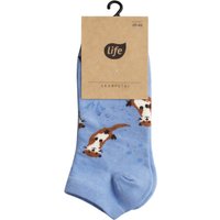 Life calzini invisibili in cotone Hipster, motivo Lontra, taglia 35-38